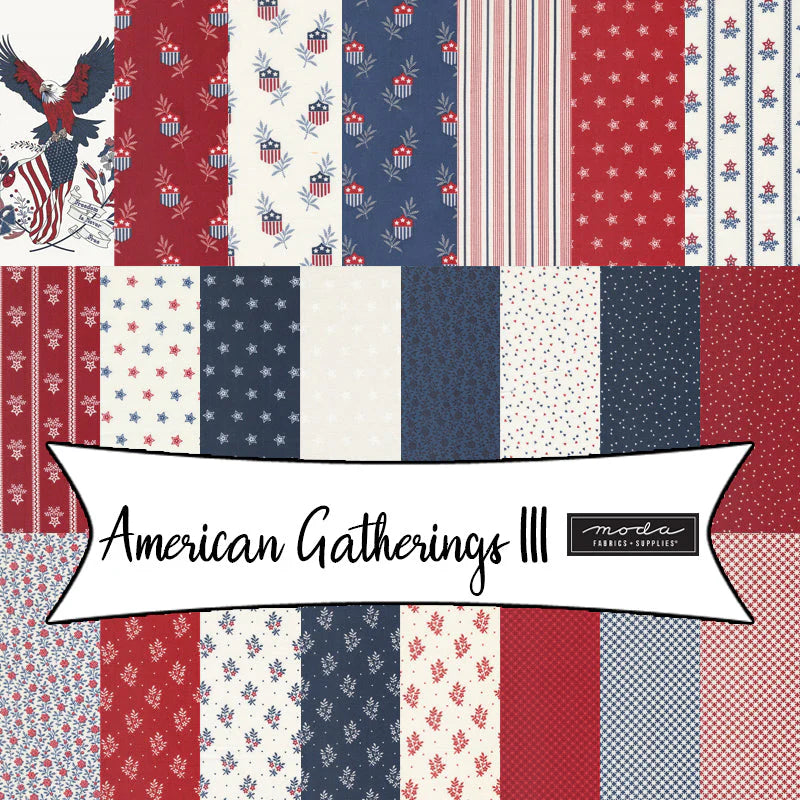 American Gatherings III