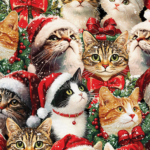 Merry Cat