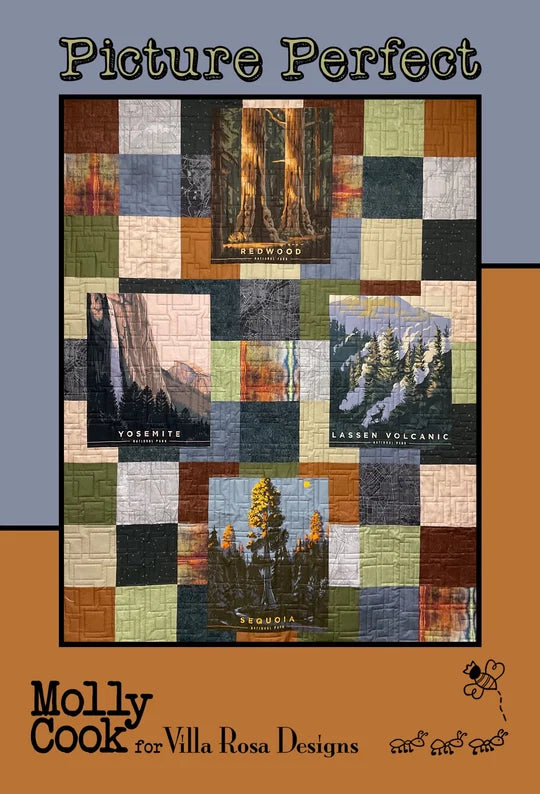 Picture Perfect Pattern