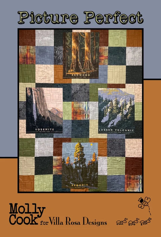 Picture Perfect Pattern