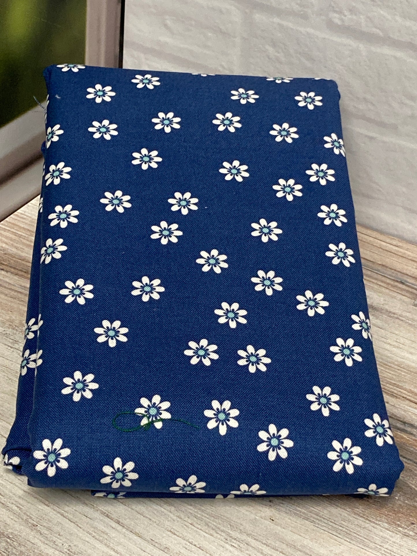 Back Home Pillow Series 2025