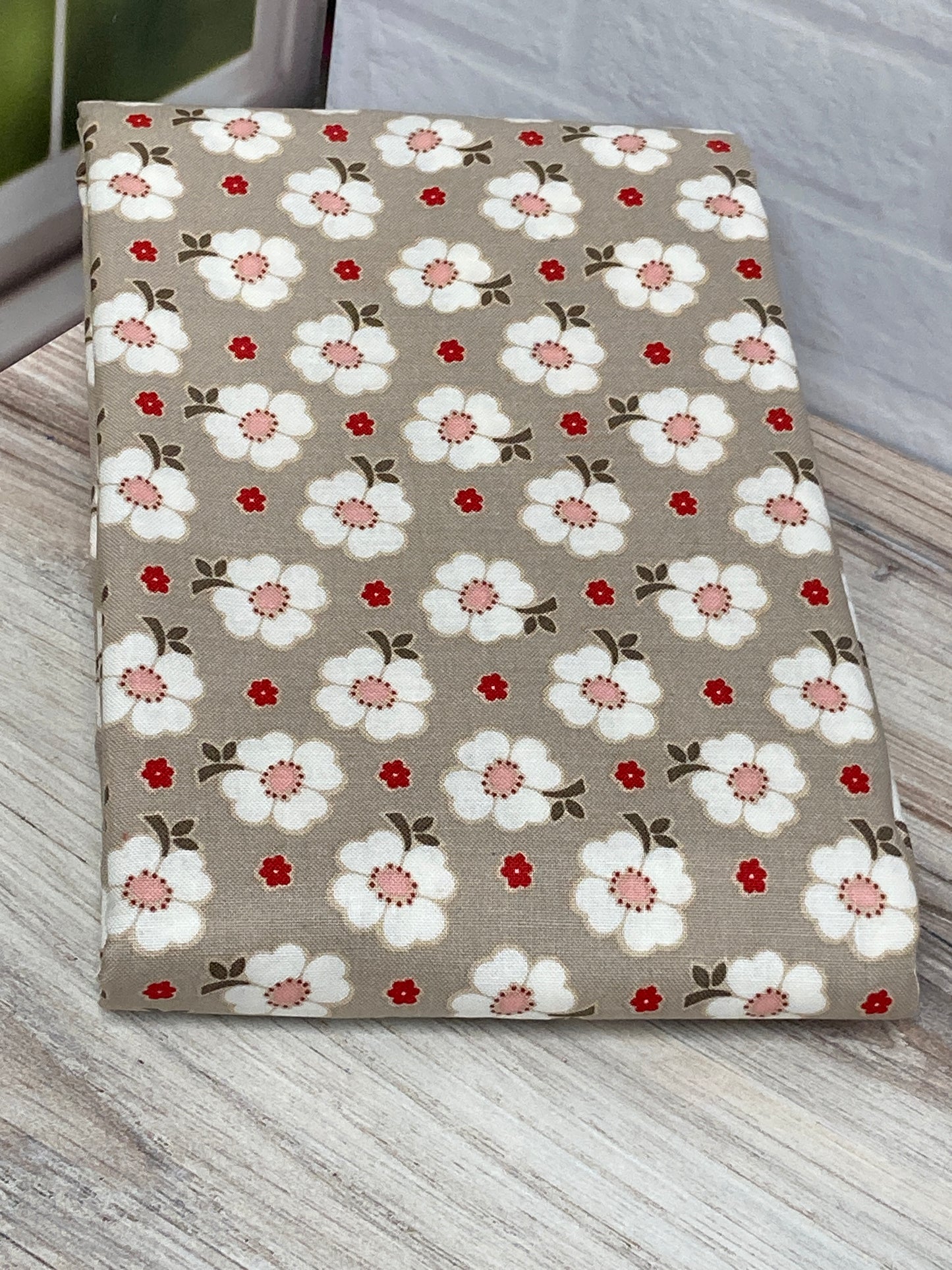 Back Home Pillow Series 2025