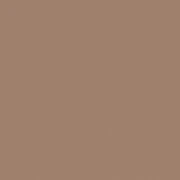 Confetti Cotton Solids 1