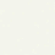 Confetti Cotton Solids 2