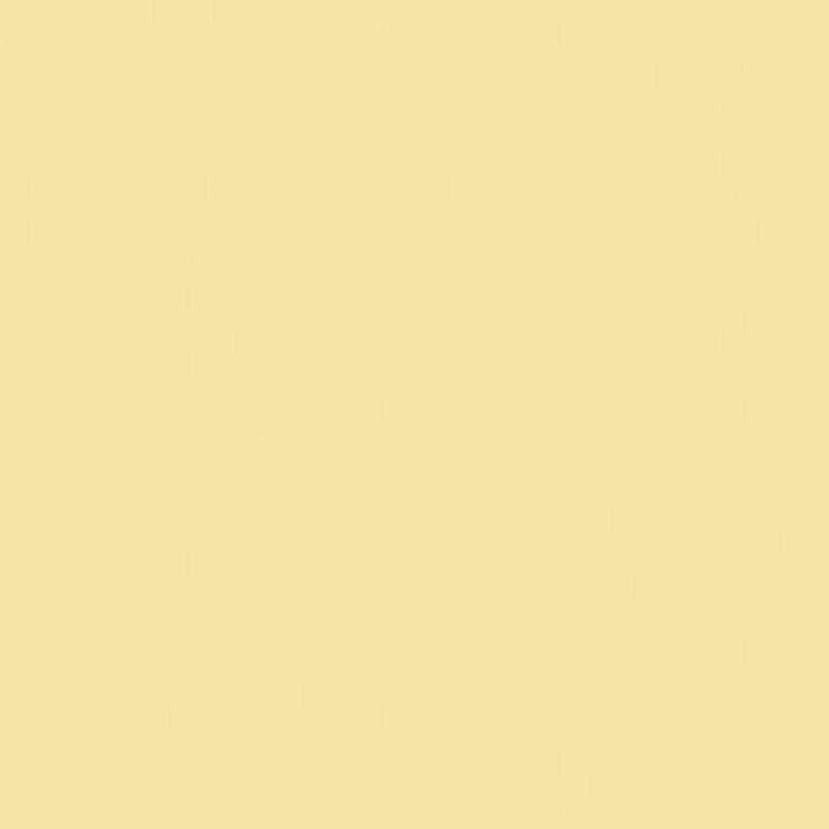 Confetti Cotton Solids 2