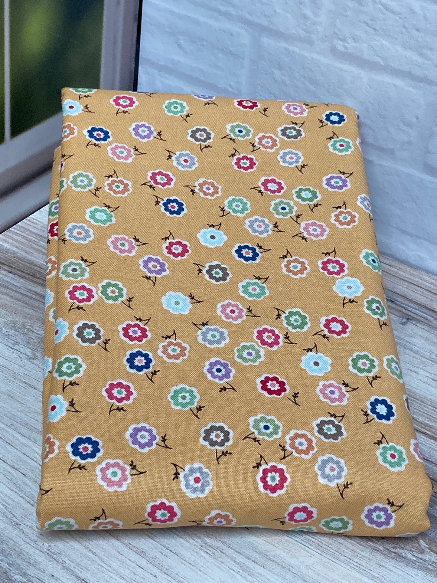 Back Home Pillow Series 2025