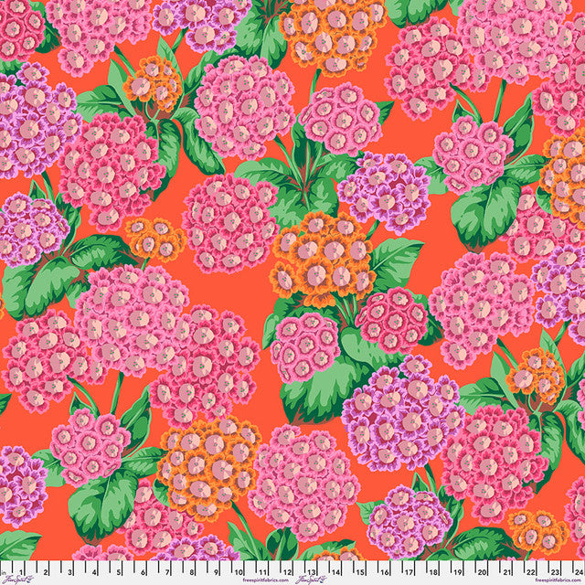 Kaffe Fassett Collection