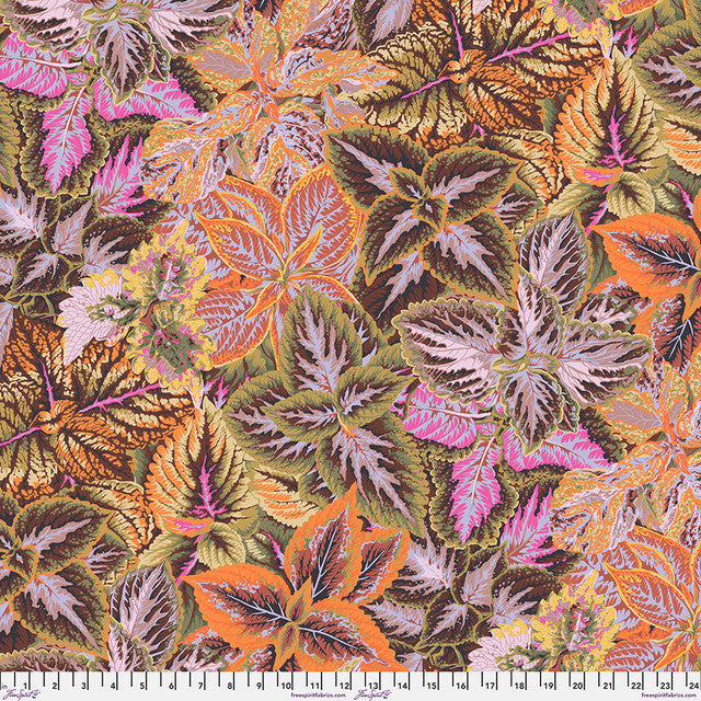 Kaffe Fassett Collection