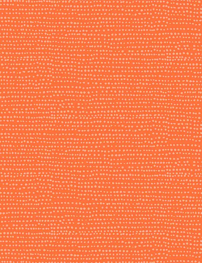 Dear Stella Cats In The Laundry