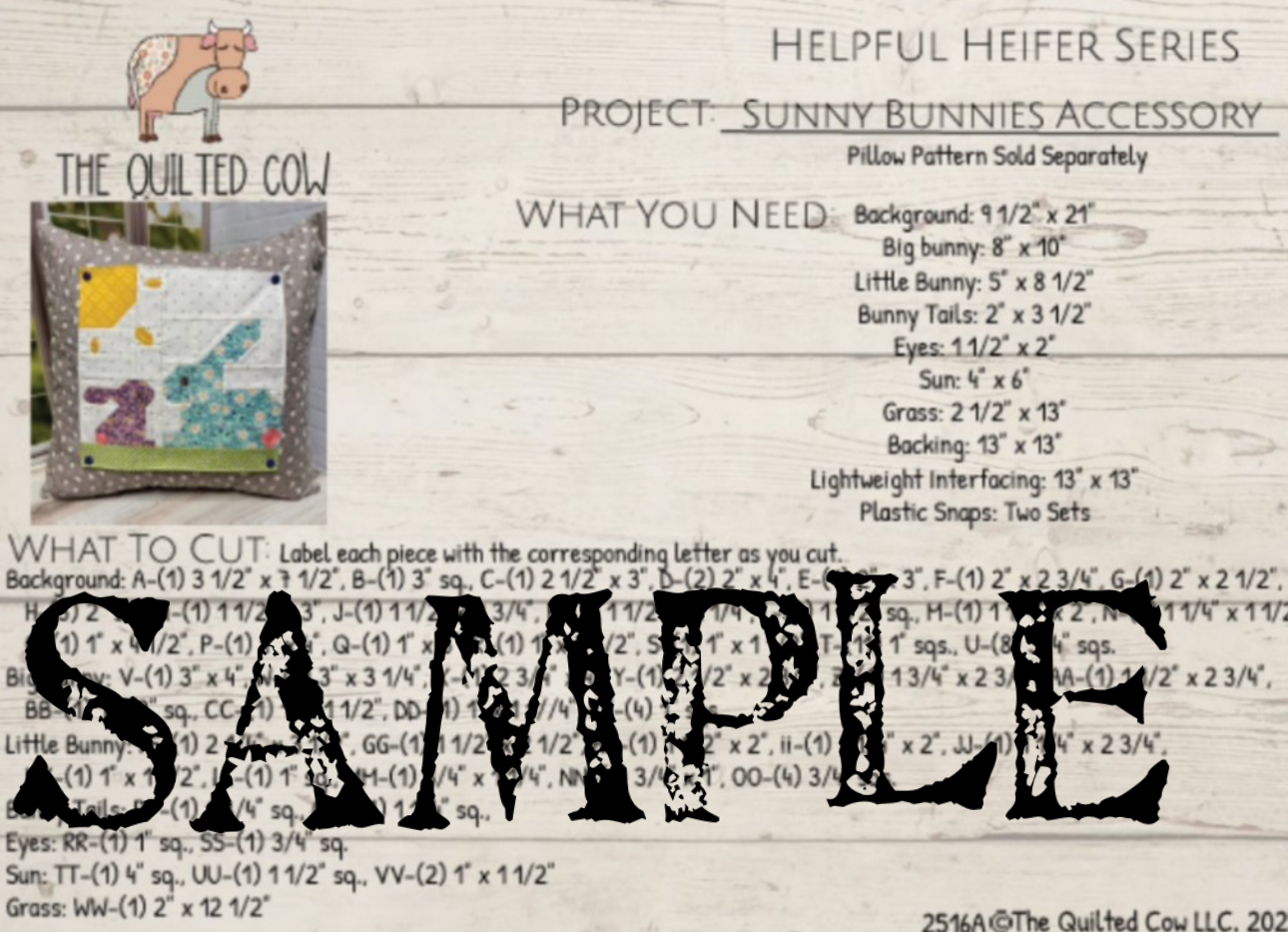 Back Home Pillow Series 2025