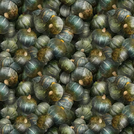 THE SECRET OF LIFE SQUIRRELS 111