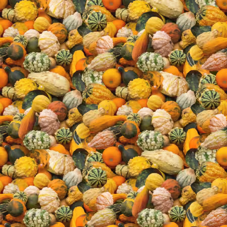 THE SECRET OF LIFE SQUIRRELS 111