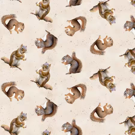 THE SECRET OF LIFE SQUIRRELS 111