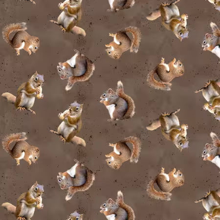 THE SECRET OF LIFE SQUIRRELS 111