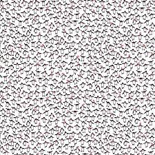 Dear Stella Christmas