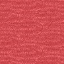 Dear Stella Christmas